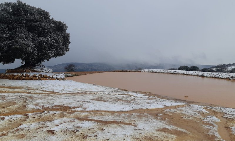 שלג החל לרדת בצפון; כוננות שלג בירושלים. צפו
