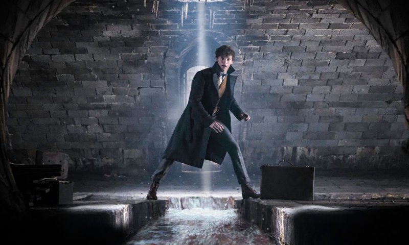 ביקורת סרטים: חיות הפלא 2 &bull; פשעים שאין עליהם מחילה