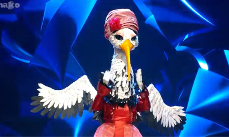 עם כיסוי ראש וישי ריבו: מי מסתתרת מתחת לחסידה?