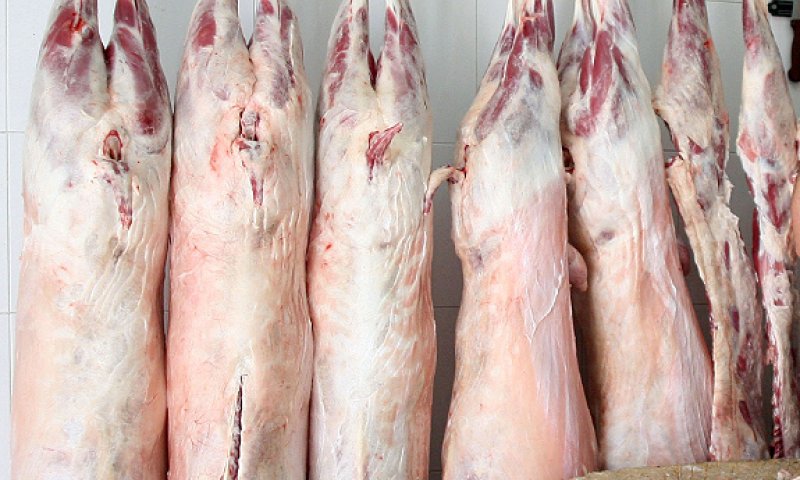 סכנה: 3 טון של בשר ללא פיקוח נמצאו בישראל