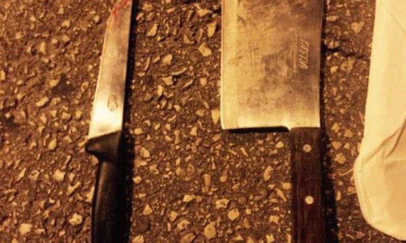 סוכל פיגוע דקירה כנגד שוטרים בירושלים