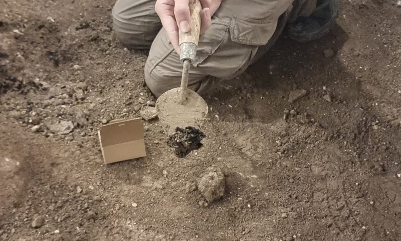 נחשפו עדויות לחורבן בית המקדש השני | תיעוד