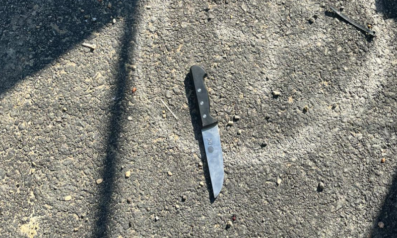 סוכל נסיון פיגוע: מחבלת נורתה בכפר חוסאן