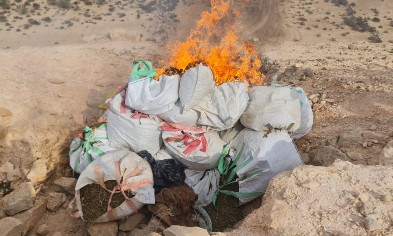 מאות ק"ג של קנאביס הושמדו בשטח צה"ל