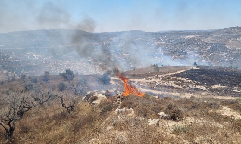 שריפה משתוללת במורדות הישוב יצהר