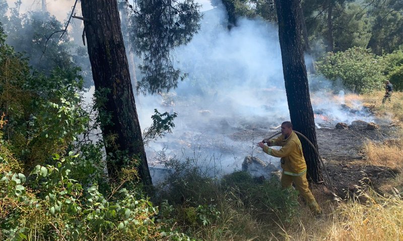 החשוד בהצתת החורש סמוך למירון: הומלס כבן 50