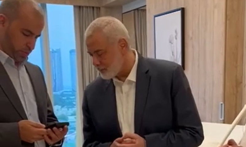 פרטים חדשים על חיסול בניו של הנייה