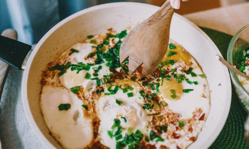 מסע בעקבות השקשוקה