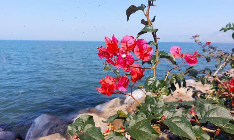 מהחרמון ומהנחלים: מפלס הכנרת בקפיצה נוספת