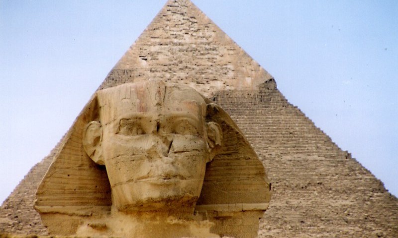 פרשת בא: עם ישראל נלחם את מלחמת השחרור