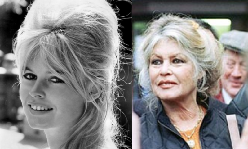 השחקנית בריז'יט בארדו (BB) הלכה לעולמה בגיל 91