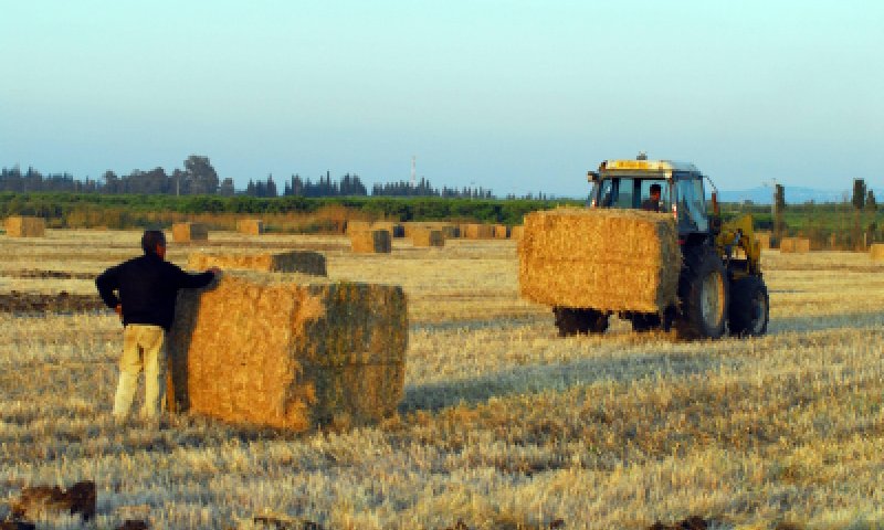 אסור לשנות את הרכב ועדת השמיטה