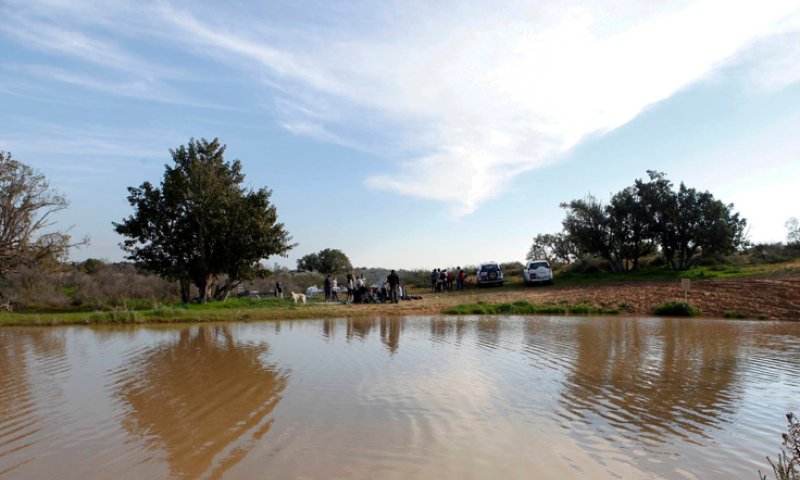 טיול בריכות חורף באביב: 5 מסלולים מומלצים