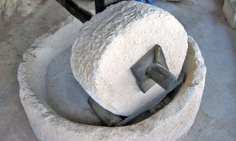 חווה תיירותית ברמת הגולן מזמינה אתכם לחזור לתקופת התלמוד