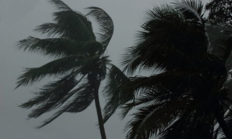 החום נשבר; החורף סוף סוף מגיע: תחזית מזג האוויר