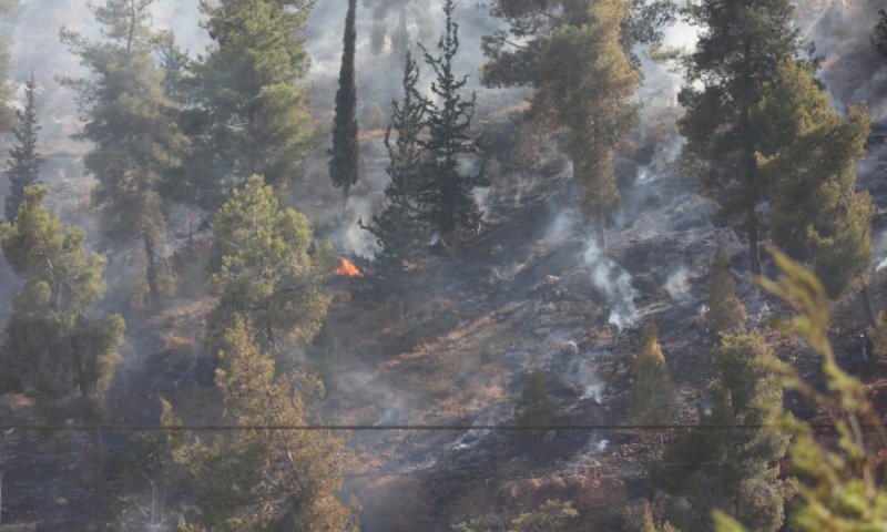 שריפות בעוטף ירושלים: היישוב בית מאיר פונה