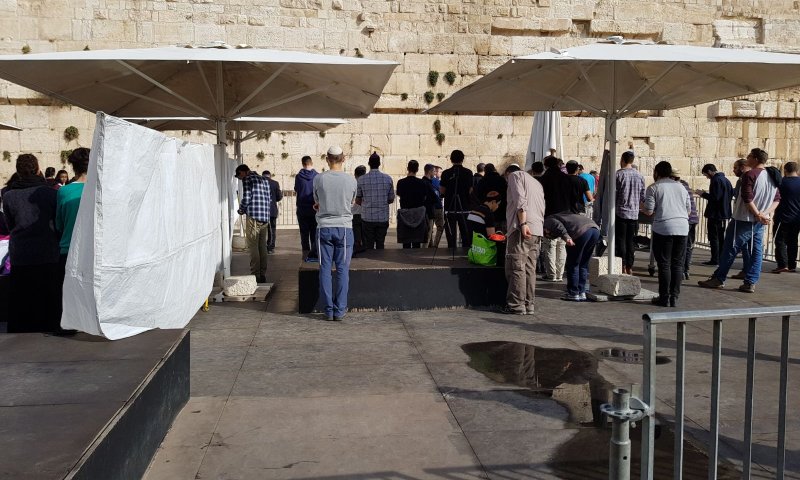 לפני בג"צ: עשרות התפללו בהפרדה ב'כותל הרפורמי'