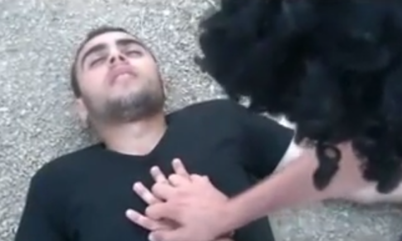 הפלסטינים מציגים: קומדיה על החטיפה