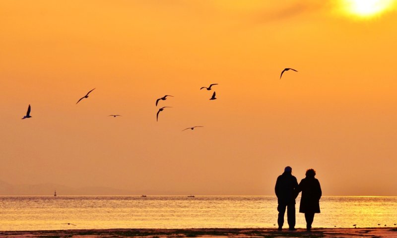 על הפונדקאית הראשונה בתנ"ך ומודלים של זוגיות