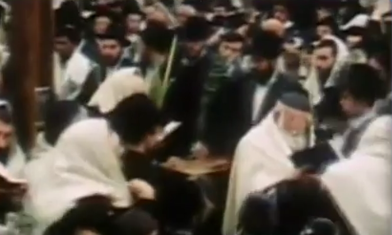 "אוי ואבוי לחסיד שהרבי לא הווה אצלו"; צפו