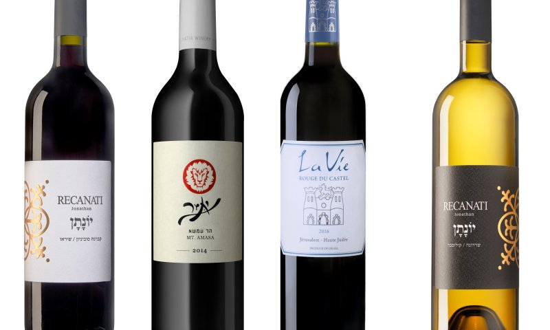 איזה יין תשתו בפסח? אור רייכרט לגם וממליץ