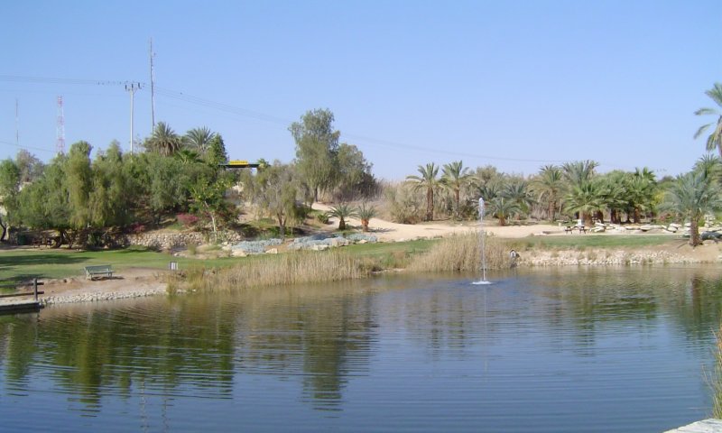 טיול משפחתי בערבה התיכונה: נווה המדבר שלא הכרתם