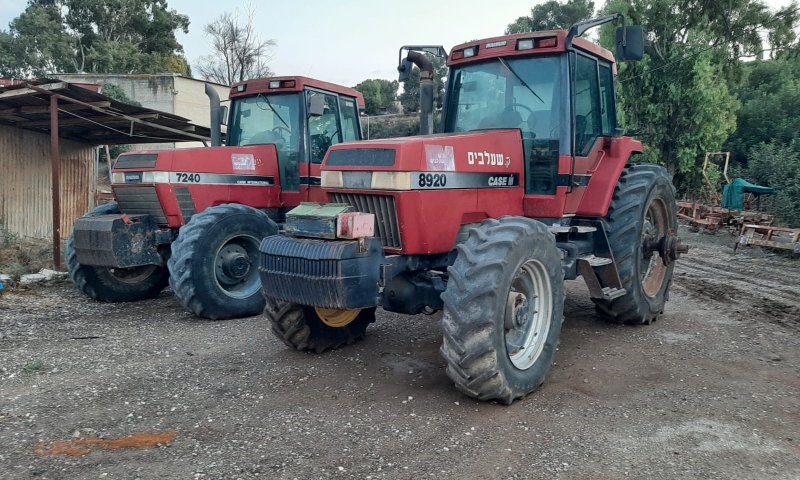 חוגגים את האור עם "פסטיבל חקלאות ושמיטה"