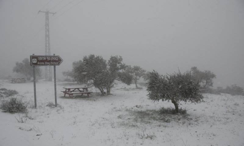הלימודים בירושלים יחלו בשעה 10:00