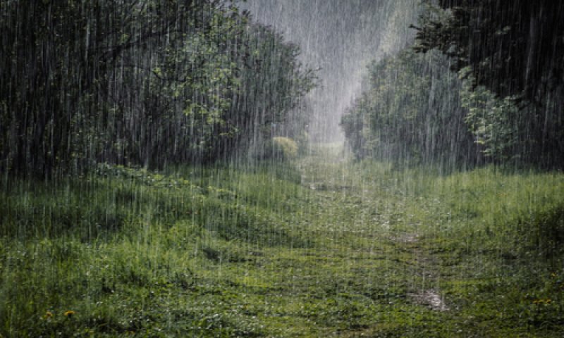 גשום וסוער; קור, רוחות והצפות: תחזית מזג אוויר