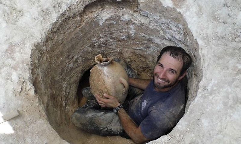 קרפדות ערופות ראש מלפני 4,000 שנה התגלו בי-ם