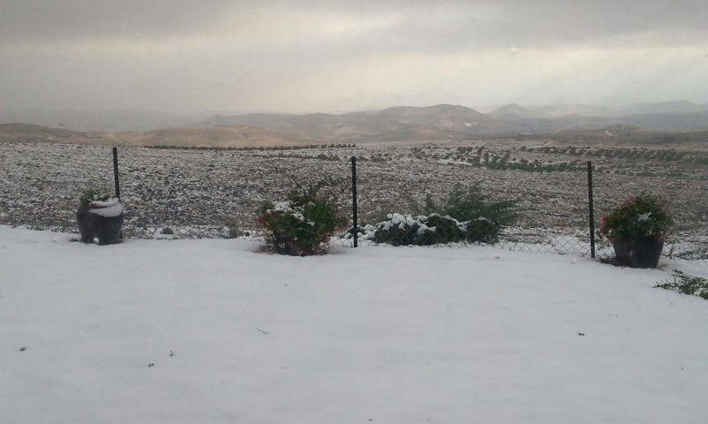 שלג כבד בצפת ובגוש עציון. בירושלים שלג קל בלבד