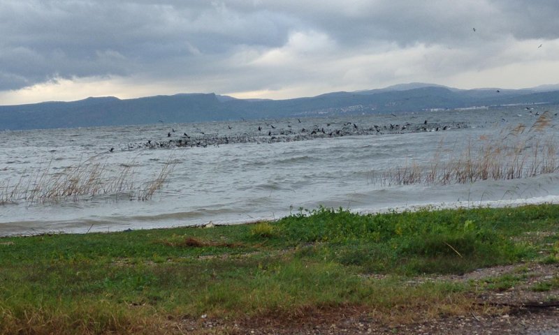 סכר דגניה ייפתח? מפלס הכנרת ממשיך לזנק
