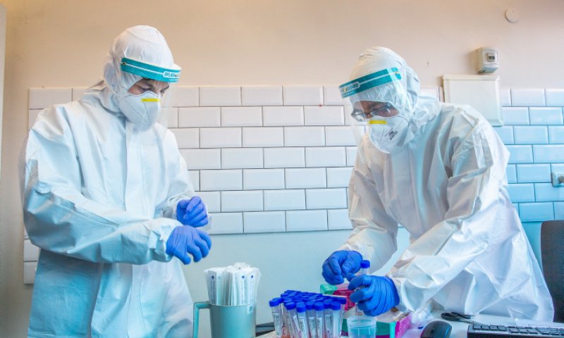 הנתונים נחשפים: אחוז הבדיקות החיוביות בכל מגזר