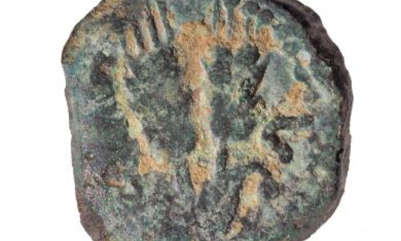 במהלך טיול: תלמיד מצא מטבע נדיר בשומרון