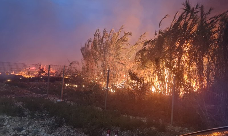 שריפות ענק משתוללות בגולן ובקרית שמונה