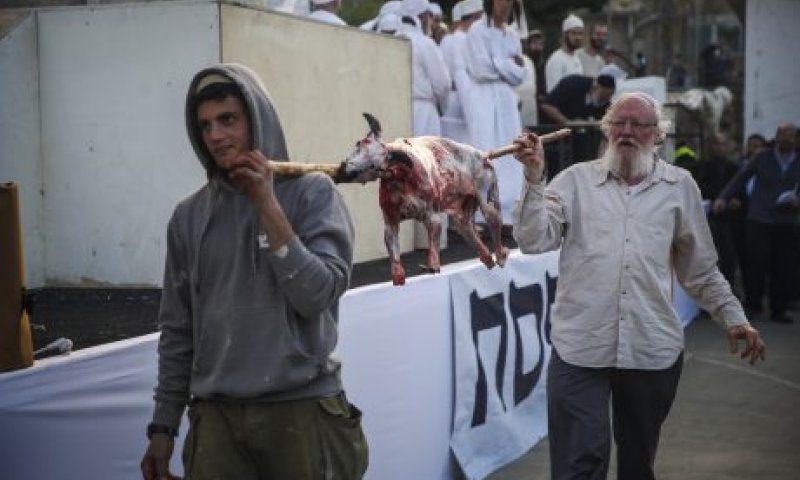 תרגול קרבן פסח? אנחנו לא יותר צדיקים מרבותינו