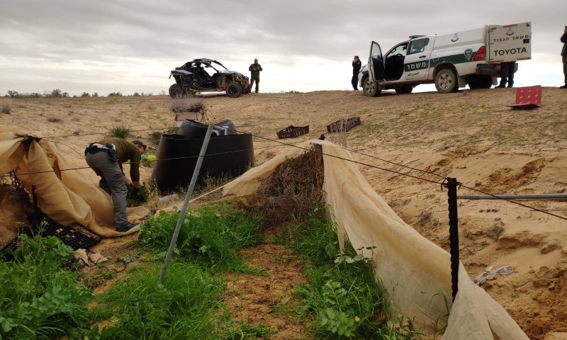 שיא החוצפה: בדואים גידלו קנאביס בשטח אש של צה"ל