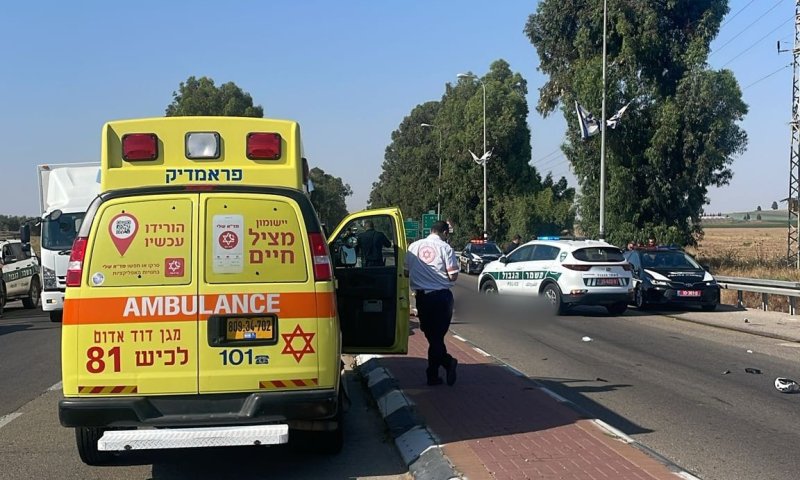 הקטל בדרכים: נהג תחת השפעת אלכוהול והרג רוכב אופניים