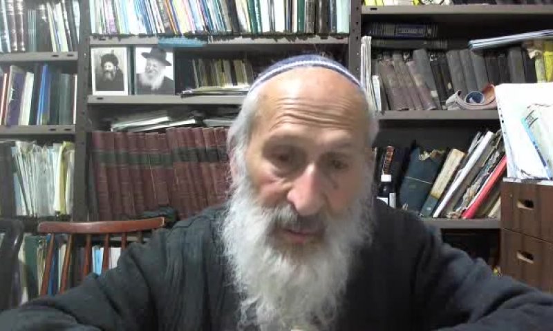 במקום מסעות לפולין, להשקיע את הכסף בניצולים