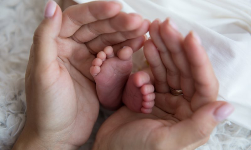 הטכנולוגיה בשירות ההלכה: הכנס השנתי של פוע"ה