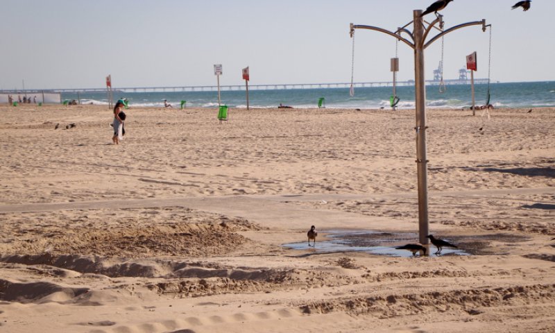 אסון בחוף באשקלון: גבר בן 46 טבע למוות