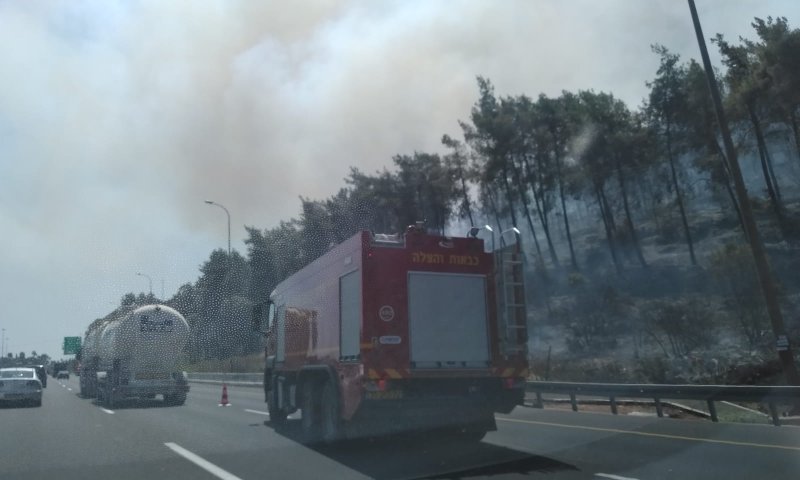 השריפה בהרי ירושלים: מאבק נרחב בקו הבתים