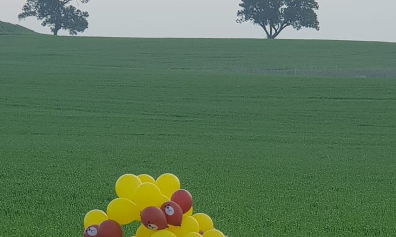 שוב בלוני נפץ בדרום, המשטרה פרסמה הנחיות