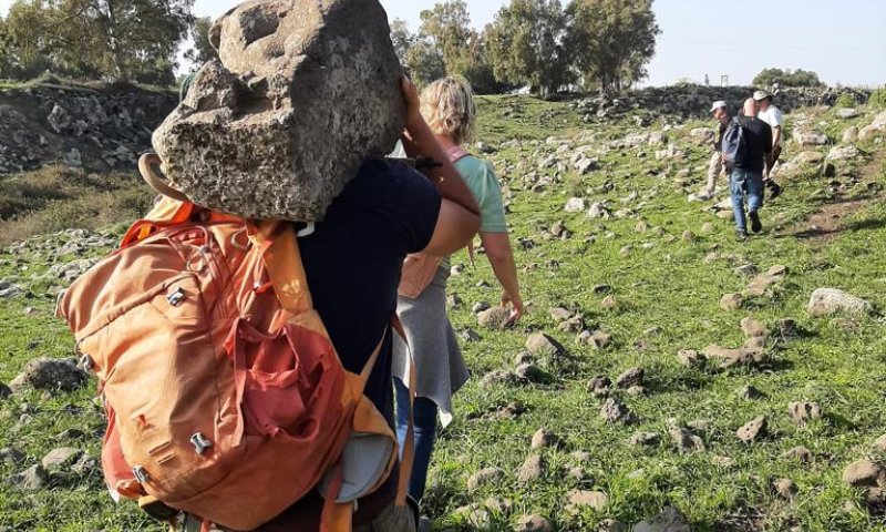 תבליט אריה התגלה בהריסות בית כנסת עתיק