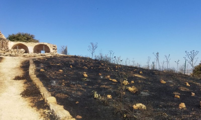 עלייה של 100% בהצתות בחודש מאי לעומת אשתקד