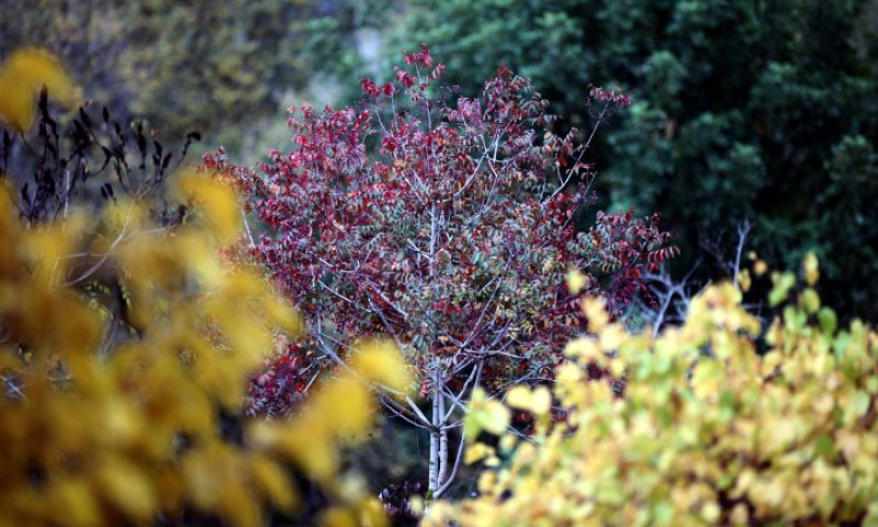 אחרי החגים, חודש חשוון: איך חוזרים לשגרה?