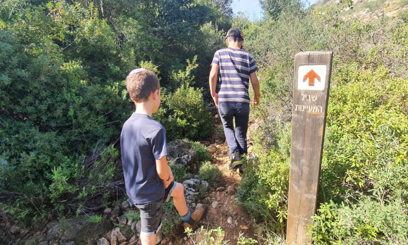 אלפים צפויים להשתתף במרתון התנ"ך בבנימין