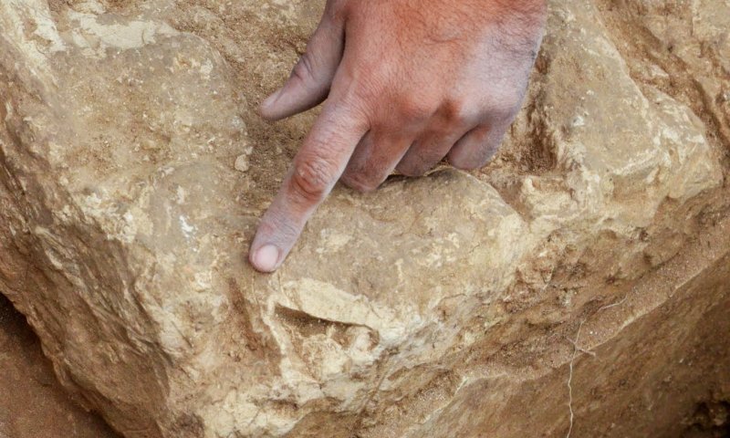 נמצאה העדות למלחמתו של חזקיהו בעבודה הזרה