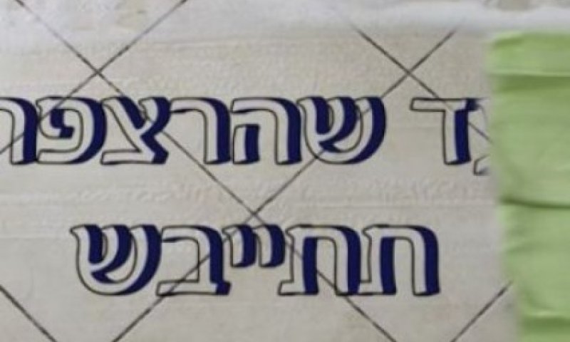 "עד שהרצפה תתייבש": 2 דקות על פרשת 'נח'
