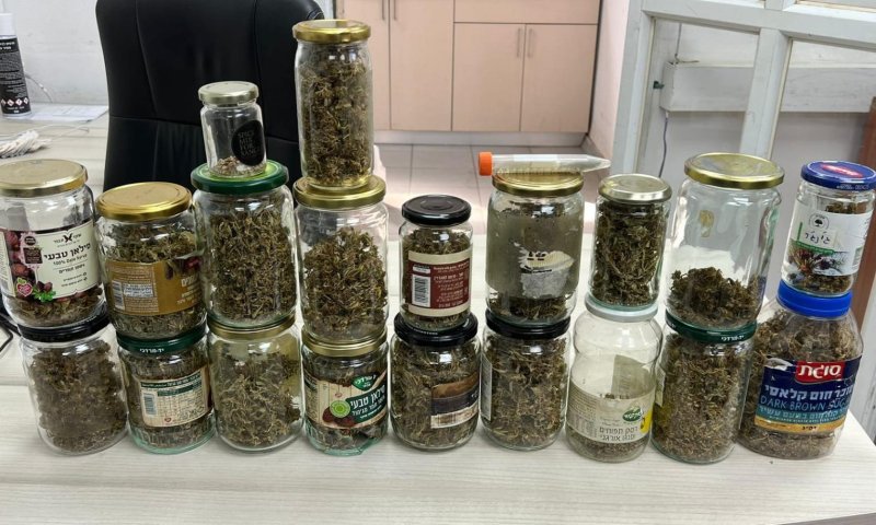 איש אקדמיה נעצר. זו הסיבה